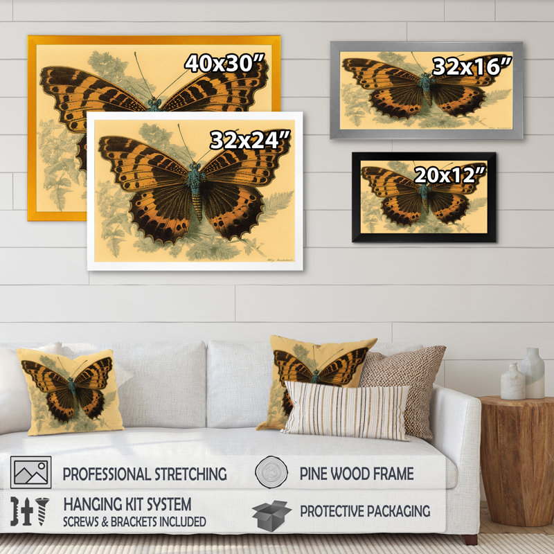 «Anntionette Vintage Illustration Of Butterfly II», reproduction sur toile, Impression noire sur toile encadrée