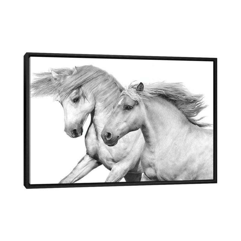 « duo i », impression sur toile, H 18 po x l 26 po x P 1,5 po, Toile avec cadre noir, Pas de tapis