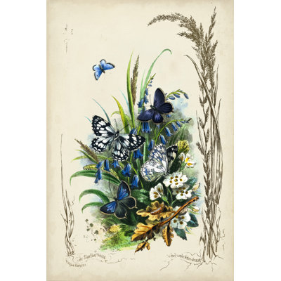 UA BR Victor. Butterfly Garden VIII by Vision Studio - Wrapped Canvas Painting