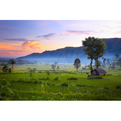 Rice - Wrapped Canvas Print