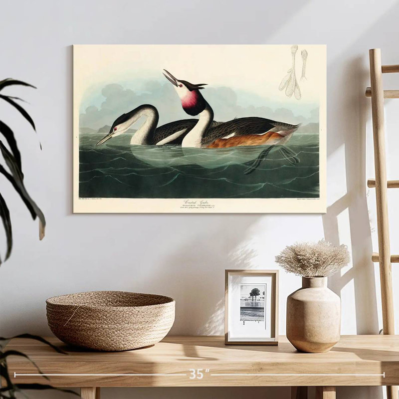 Brampt Crested Grebe, 16" H x 24" W