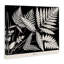 Fougères superposées sur toile noire, design par Phillipa Katz-2055649900