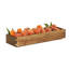 Sydney Tray-538812656
