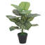 60cm Green Stripe Artificial Foliage Plant-39799300