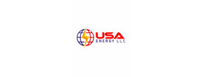 Logo USA Energy LLC dba World Smart LED