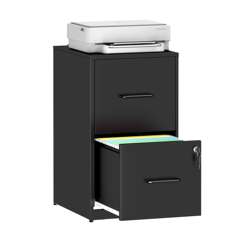 Makeace 2-Drawer Metal Vertical Filing Cabinet - Sturdy Steel Storage for Home Office, Printer Stand, A4/Letter Size, Black