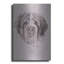 «St. Bernard» par Barbara Keith-1298478257