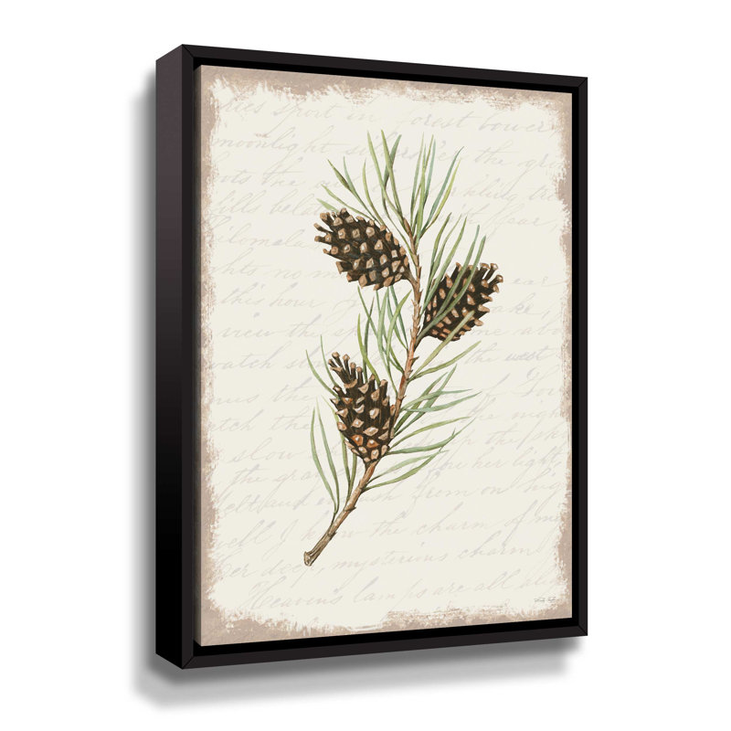 Pine Cone Botanical I Gallery, Cadre flottant noir, H 24 po x l 18 po x P 2 po