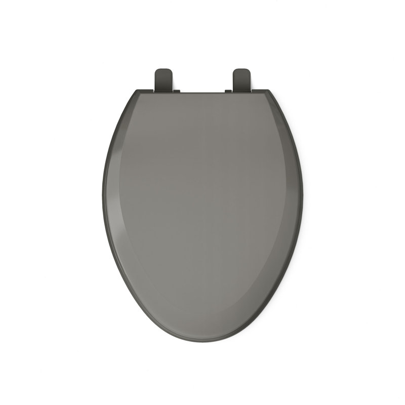 Lustra with Quick-Release Hinges Toilet Seat, Thunder Gray, Elongated