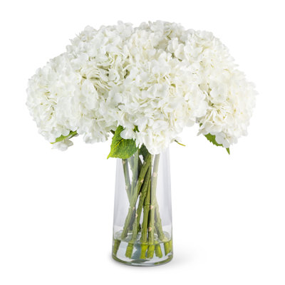 Cultivated Interiors Functional Beauty Arrangement