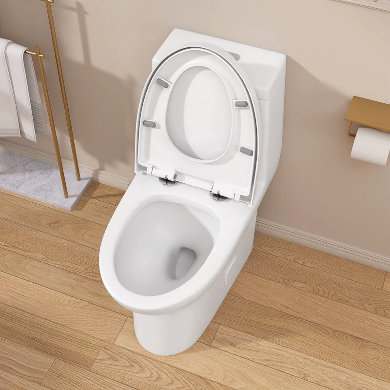 Toilette monobloc en céramique 18 po à fermeture double avec siège confortable et hauteur d'assise conforme à l'ADA 18 po