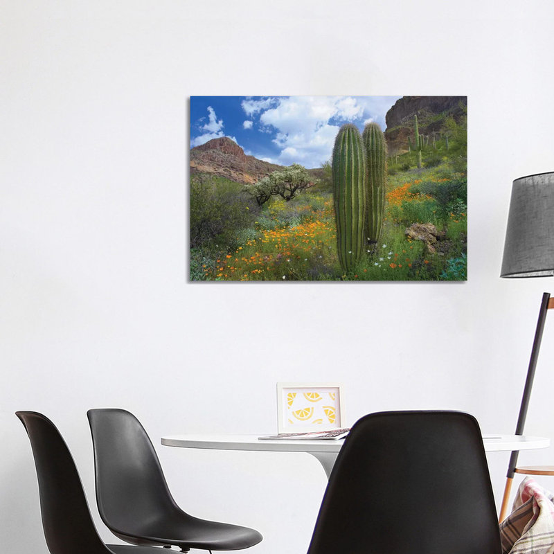 Saguaro Amid Flowering Lupine, California Brittlebush, Organ Pipe Cactus National Monument, Arizona and Desert Golden Poppies II 1 Piece Wrapped Canvas Wall Art