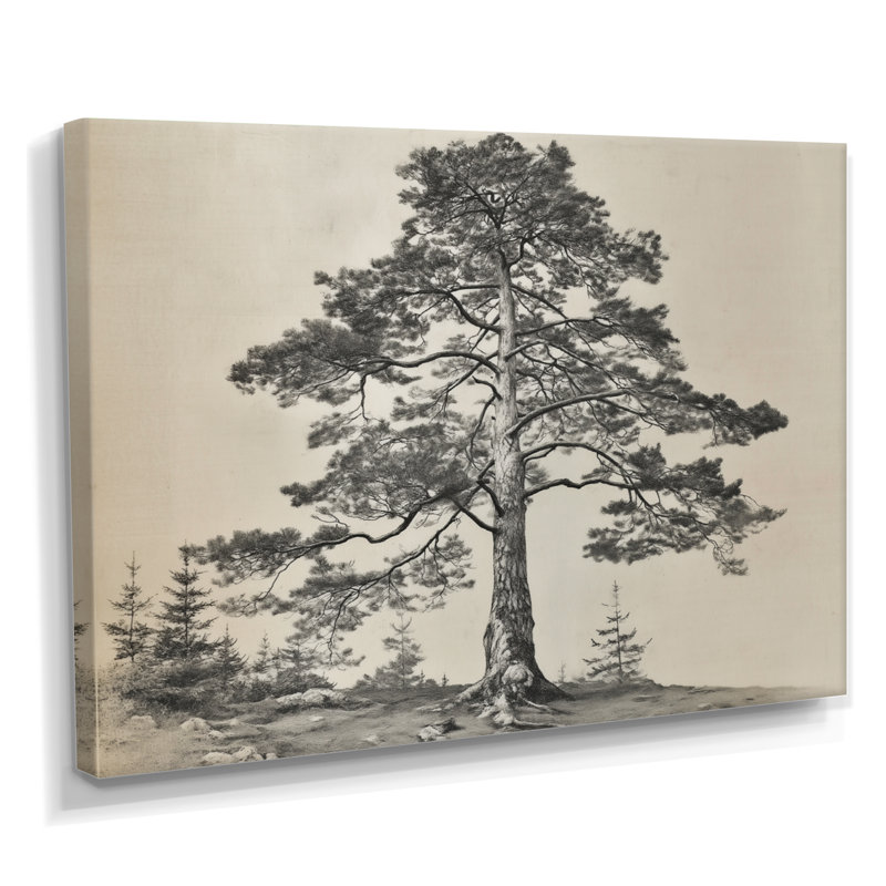 Reproduction d'art sur toile, pin, H 12 po x l 20 po, Toile tendue, Ne s’applique pas