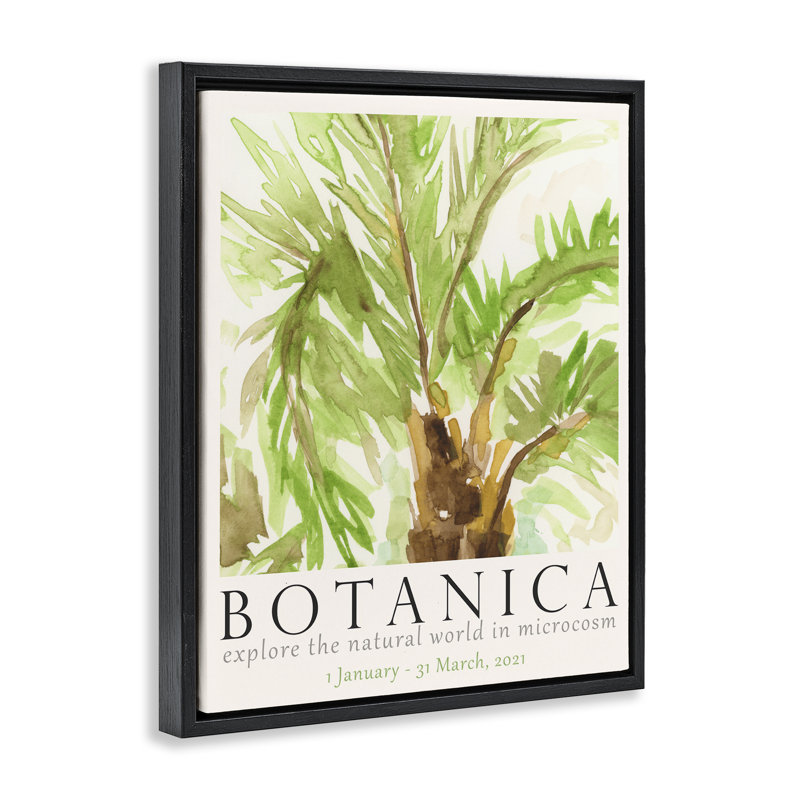 «Botanica» affiche palmier encadré sur toile flottante par June Erica Vess, H 21 po x l 17 po, Cadre flottant noir de jais