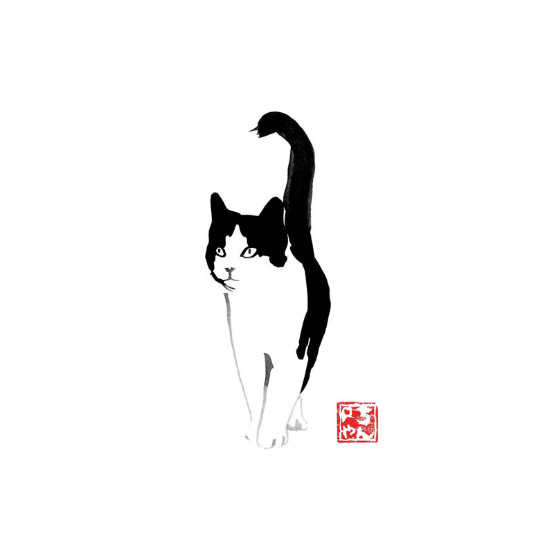 Stray Cat by Péchane - Print on Canvas, Wrapped Canvas, 20.32 cm H x 30.48 cm W