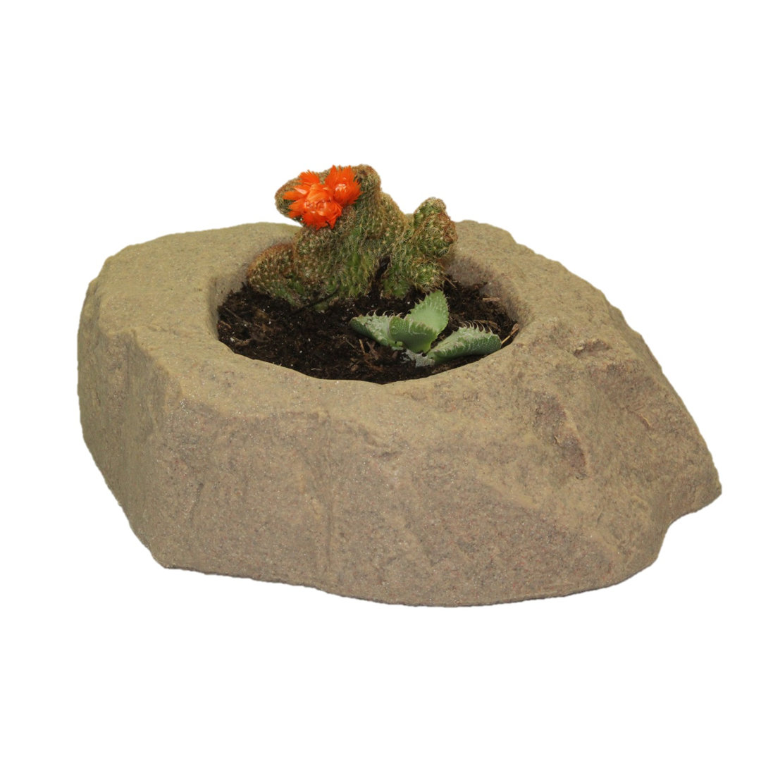 Wickes Pot Planter Ebern Designs 