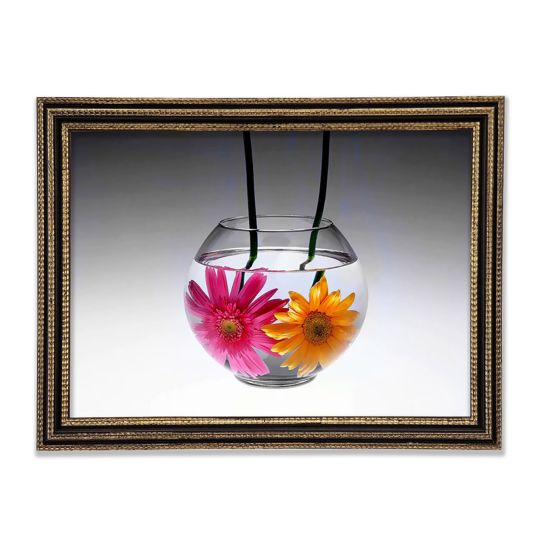 Gerahmtes Leinwandbild Gerbera Fishbowl in Schwarz/Weiß