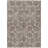  Alegandro Area Rug with Non-Slip Backing-1843320841