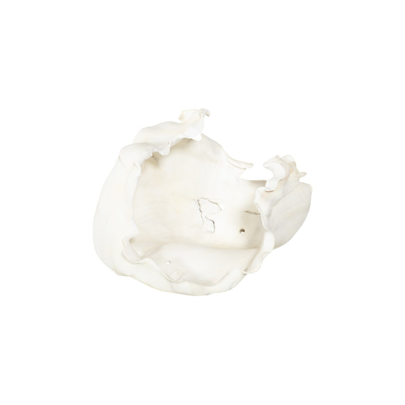 Bol en fonte, ouvert, faux blanchi