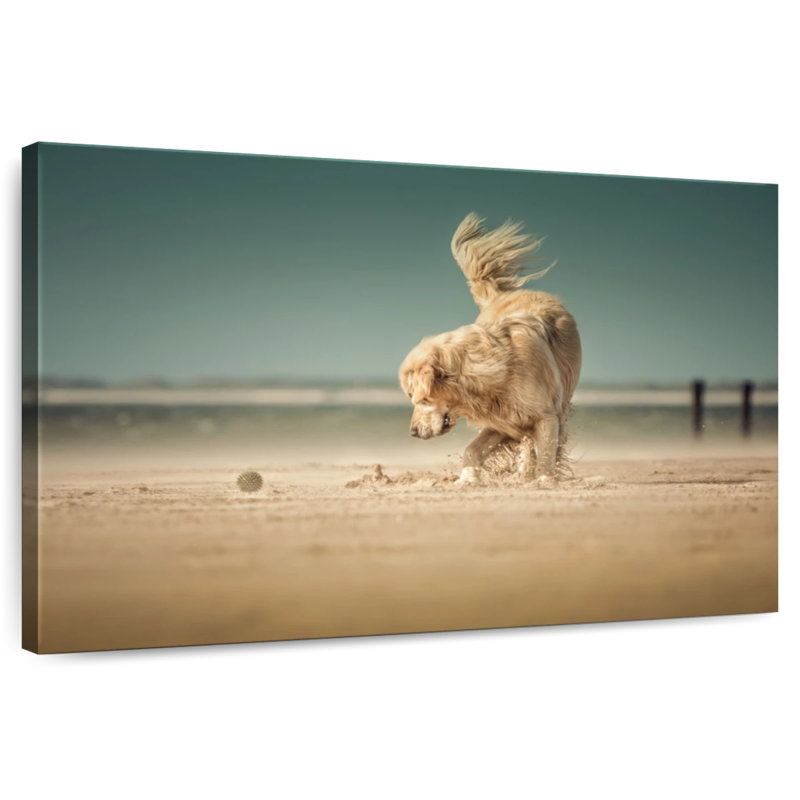 Crowle Golden Retriever, H 34 po x l 51 po
