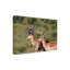 Art sur toile, Bob Bob Langrish Impala-104137645