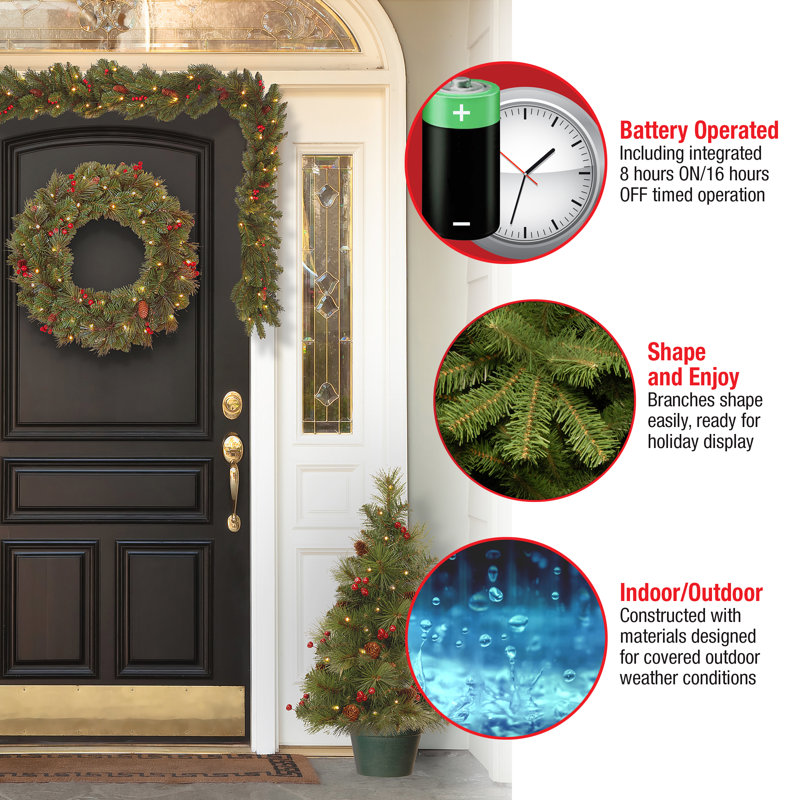 4 Piece Evergreen Assortment with LED Lights