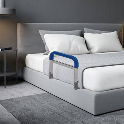 Stainless Steel Bedside Handrail