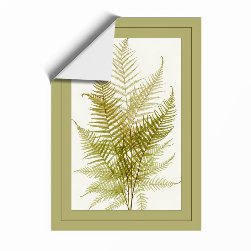 Fern Study In Olive Botanical - Print, Unframed, A4 - 29.7 x 21.0 cm