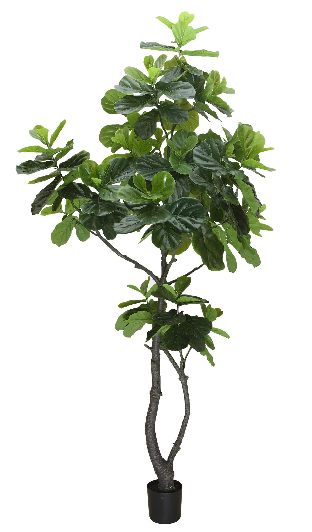 Winward Home 108'' Faux Fiddle Leaf Fig Tree | Perigold