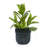 Handmade Ceramic Planter Set Of 3, 15/14/9 Inch Diameter, Black Ribbed Pattern, For Succulents Indoor/Outdoor Use On Windowsill & Bookshelf, Breathable Clay-1637762633