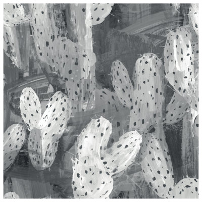 Couvertures de cactus grises abstraites