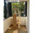 Solid Wood Large Cat Tree