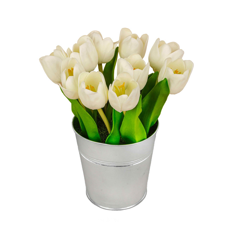 Tulip Bouquet, White