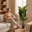 Artificial Ficus Tree Set - Realistic Indoor/Outdoor Faux Plants with Natural Wood Trunk, UV Resistant & No Maintenance (2 Pack)-369608605