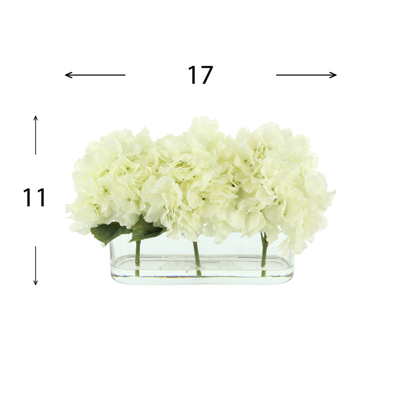 Hydrangeas Arranged in Clear Glass Vase, Cream
