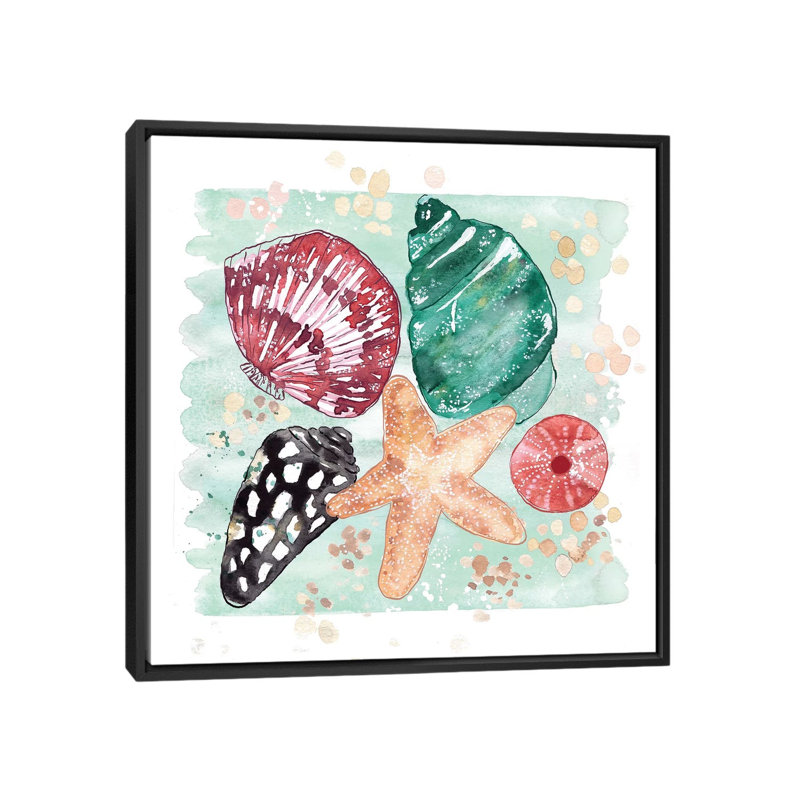 Beachcomber - Shell Medley by Sara Berrenson - Painting on Canvas, 66.04 cm H x 66.04 cm W, Black Framed