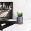 Caludia Ceramic Pot Planter