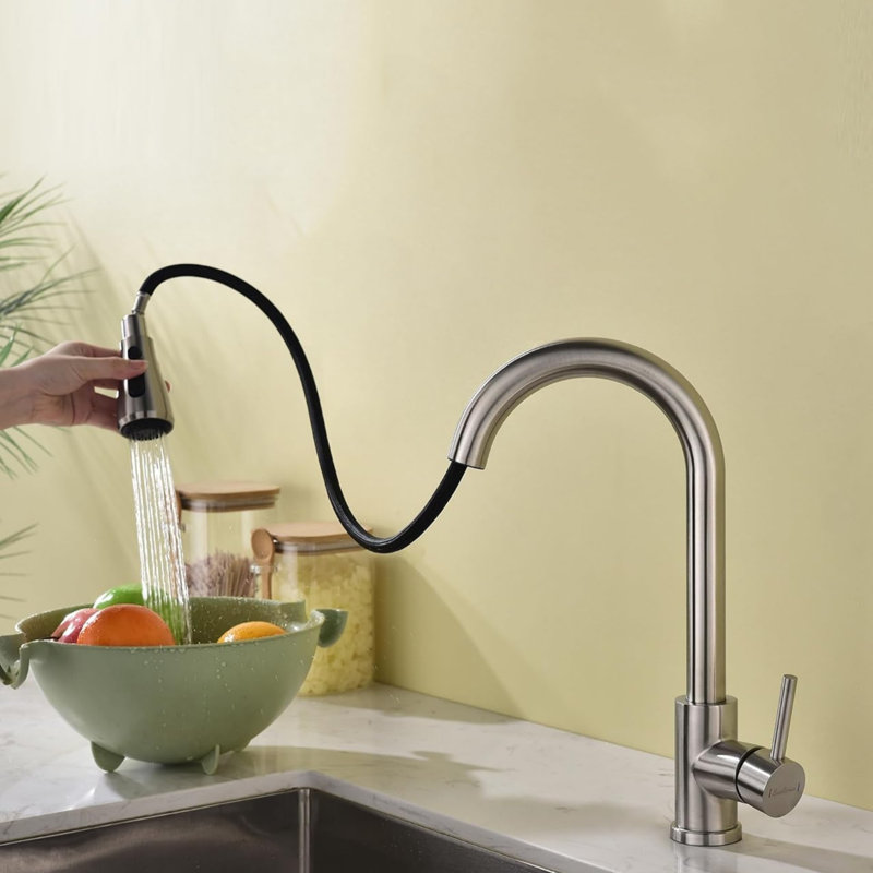 Belfry Kitchen Pull Out Kitchen Faucet