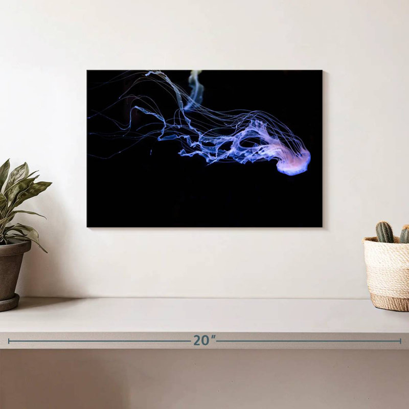 Atlantic Sea Nettle, 8" H x 12" W