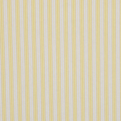 Allure Striped Fabric