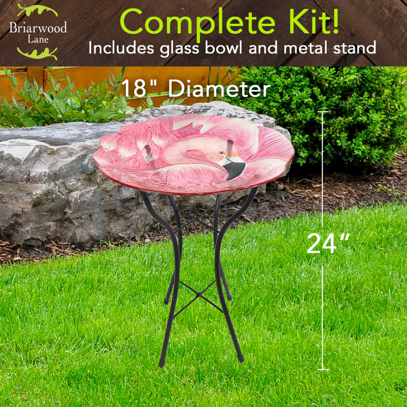 Bain d'oiseaux en verre Flamingo