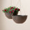 Boxdale 13" Hanging Planter