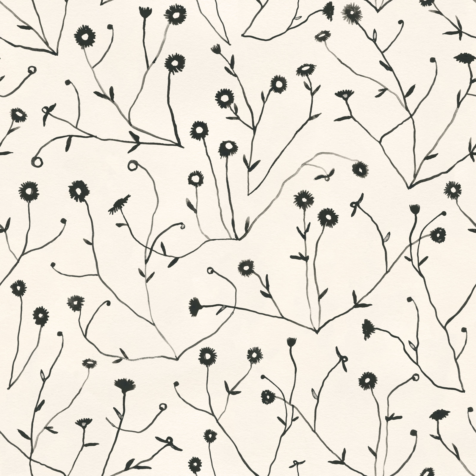 Keyes Floral Wallpaper, Cream/Black