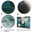 Portrait de lamantin gris turquoise - Impressions sur toile de lamantin-1195085767-1154197520