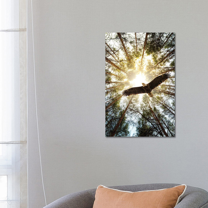 Master Of Heaven Bold Eagle by Nik Rave - Print on Canvas, 66.04 cm H x 45.72 cm W x 1.91 cm D, Wrapped Canvas