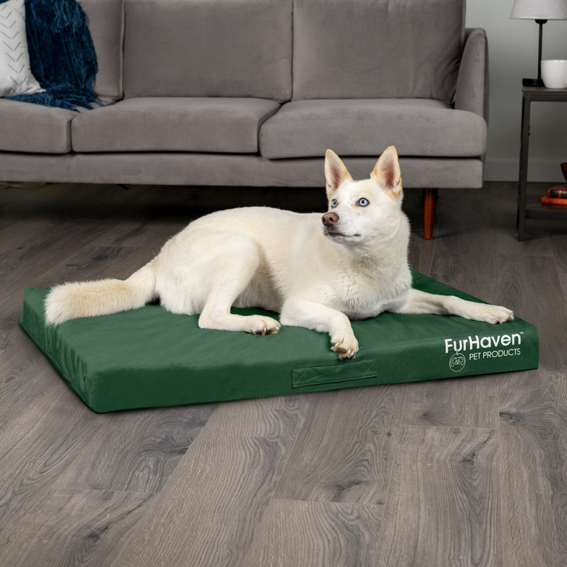 Jumbo Forest Green Orthopedic Foam Outdoor Pet Bed