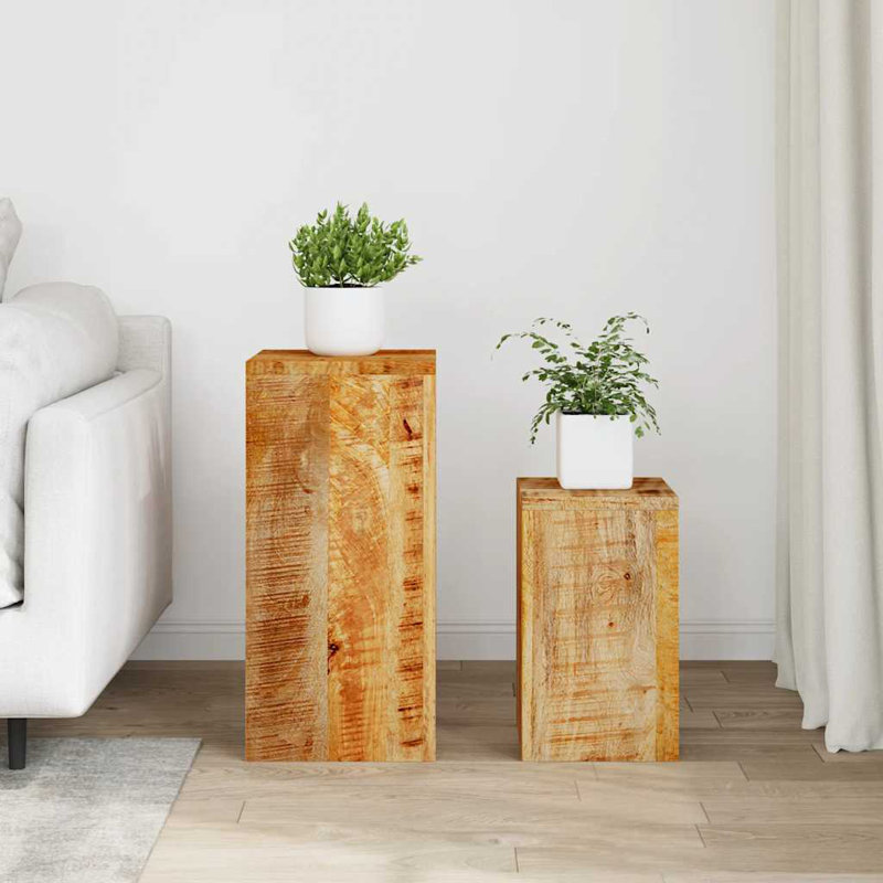Support pour plante Solangie - ensemble de 2, Brun clair