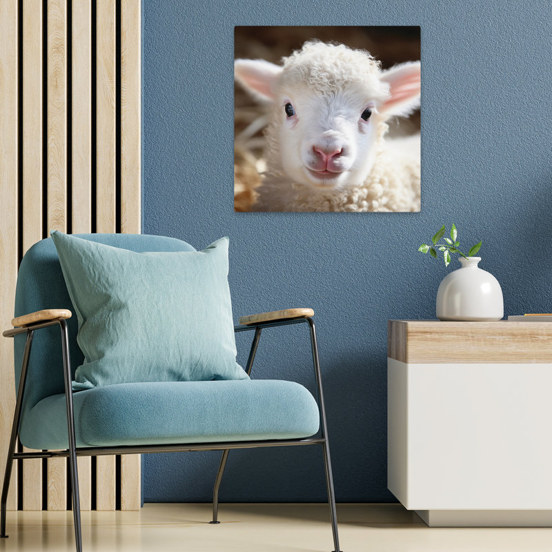 Cuddly Lamb, art contemporain de la nature, H 18 po x l 18 po