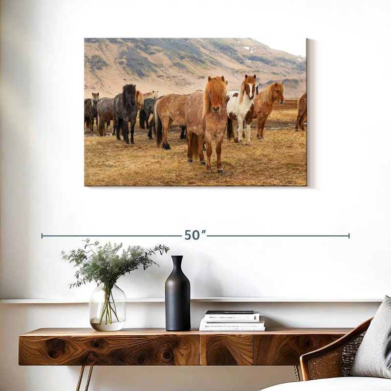 Brampt, chevaux islandais dans la campagne III