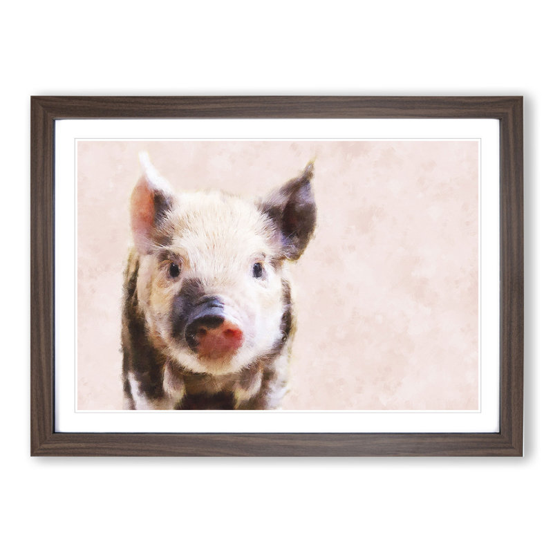 Pig - Framed Print, 27cm H x 36cm W x 2cm D, Walnut Framed